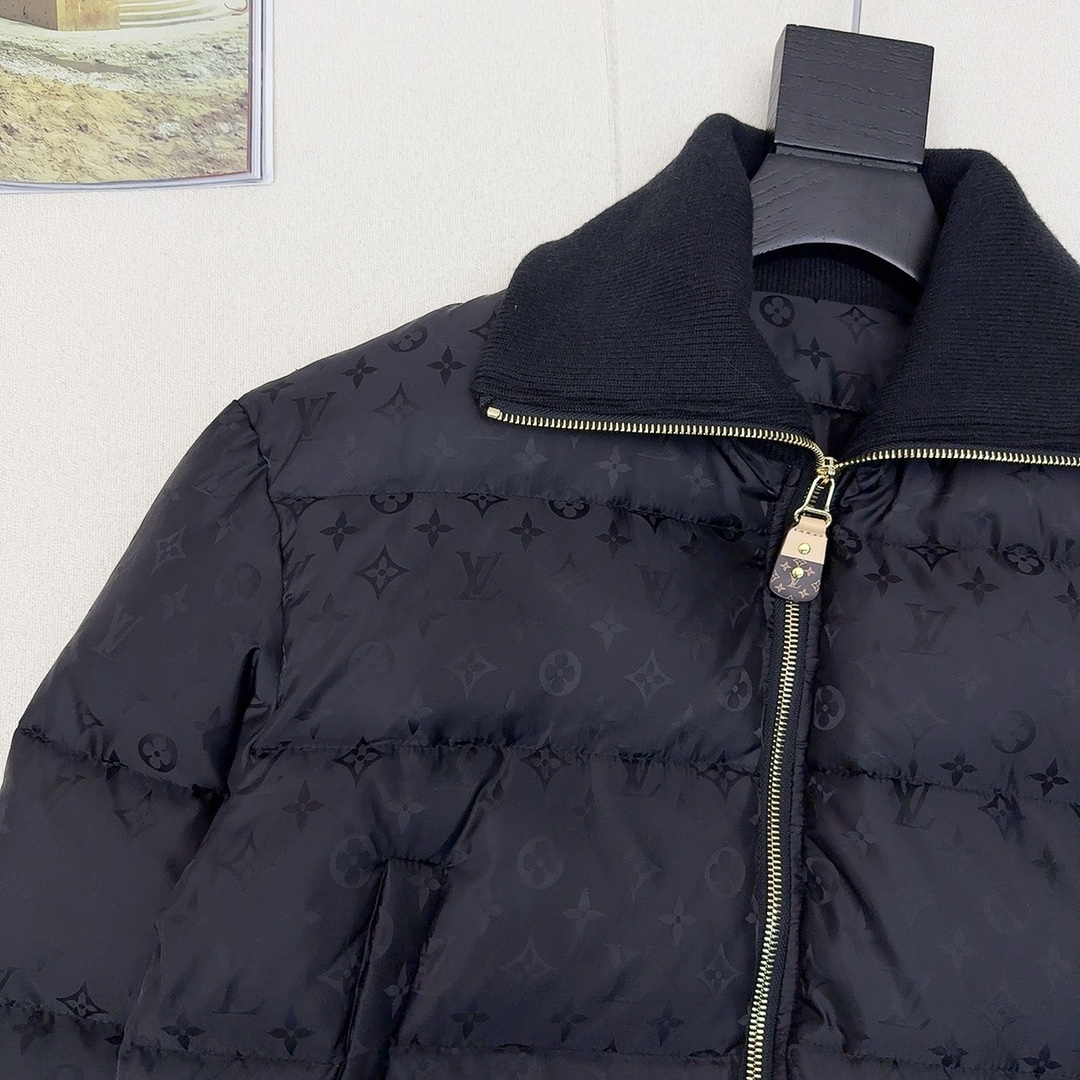 Louis Vuitton Down Jackets